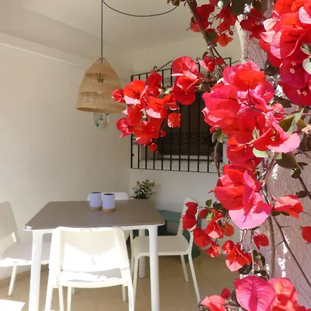 Little Oasis Appartement Dénia